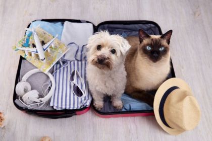 Pet Friendly: Hotel Joseph Marina di Pietrasanta